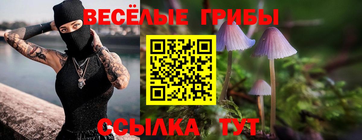 Фрязино  Галлюциногенные грибы Psilocybe  Вход с VPN 
